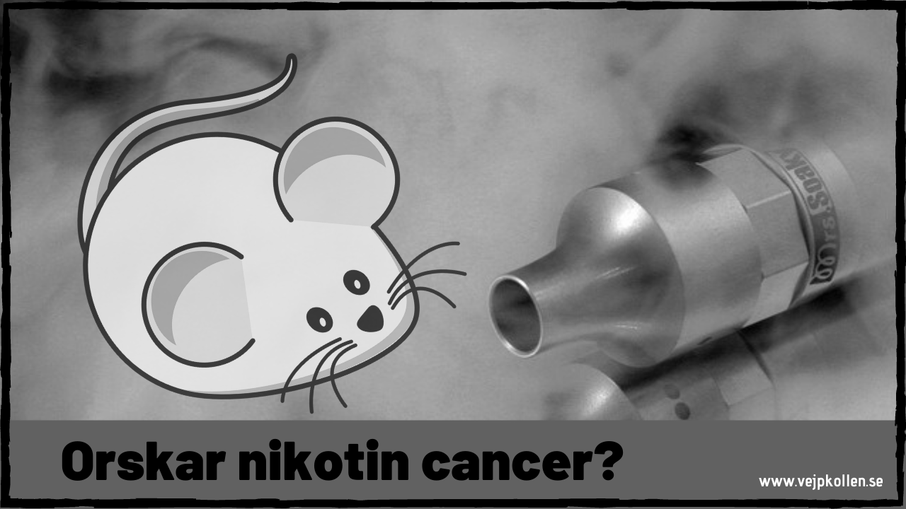 Does nicotine cause cancer?