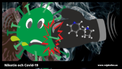 Nicotine vs Covd-19