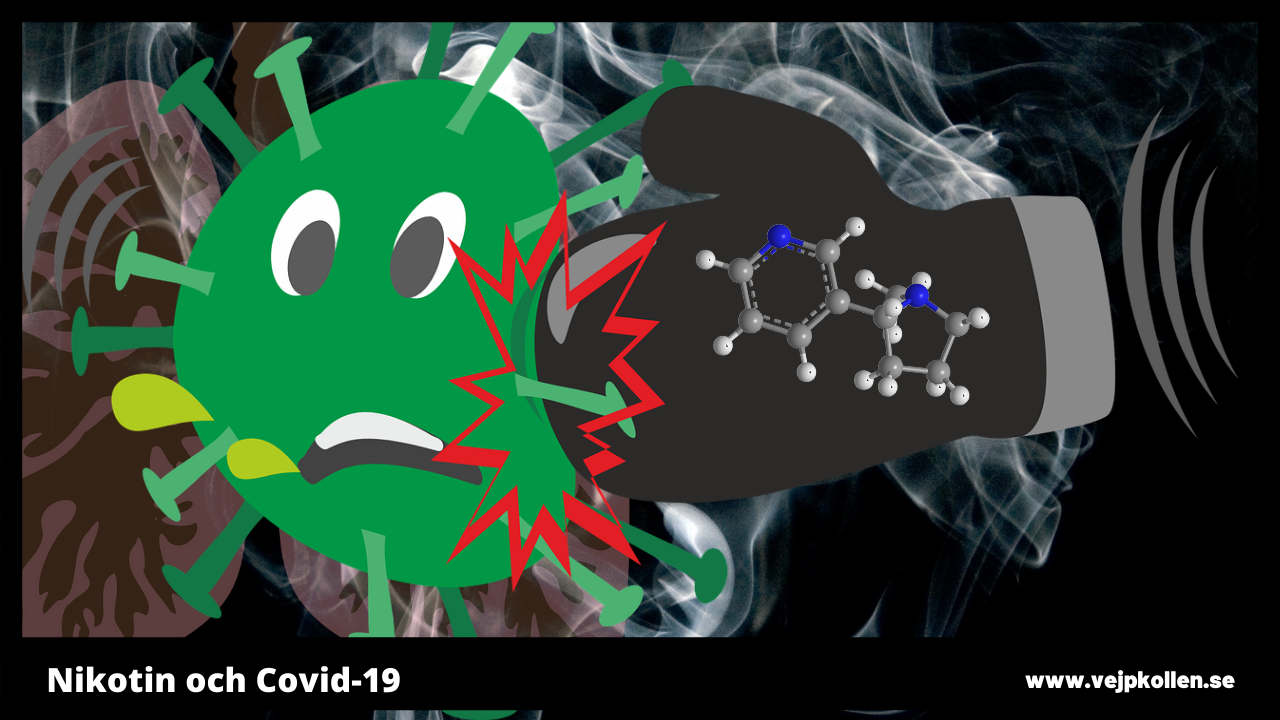 Nikotin vs Covd-19